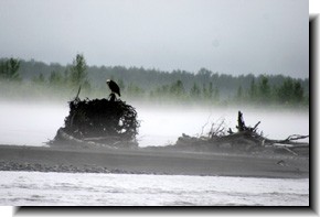 �N���b�N����Ɗg��ʐ^���݂���